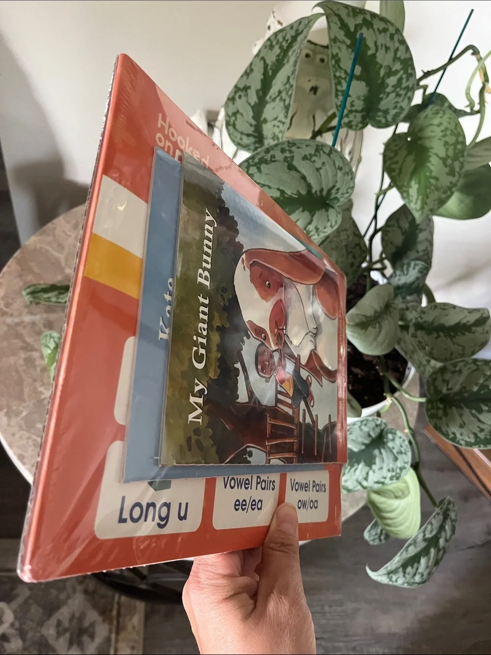 Hooked on Phonics 2 Books My Giant Bunny Kids Book